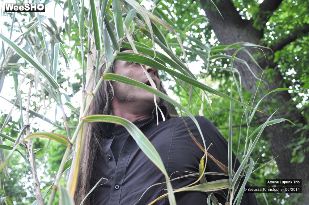 42/43 photos du spectacle Arsene Lupunk Trio