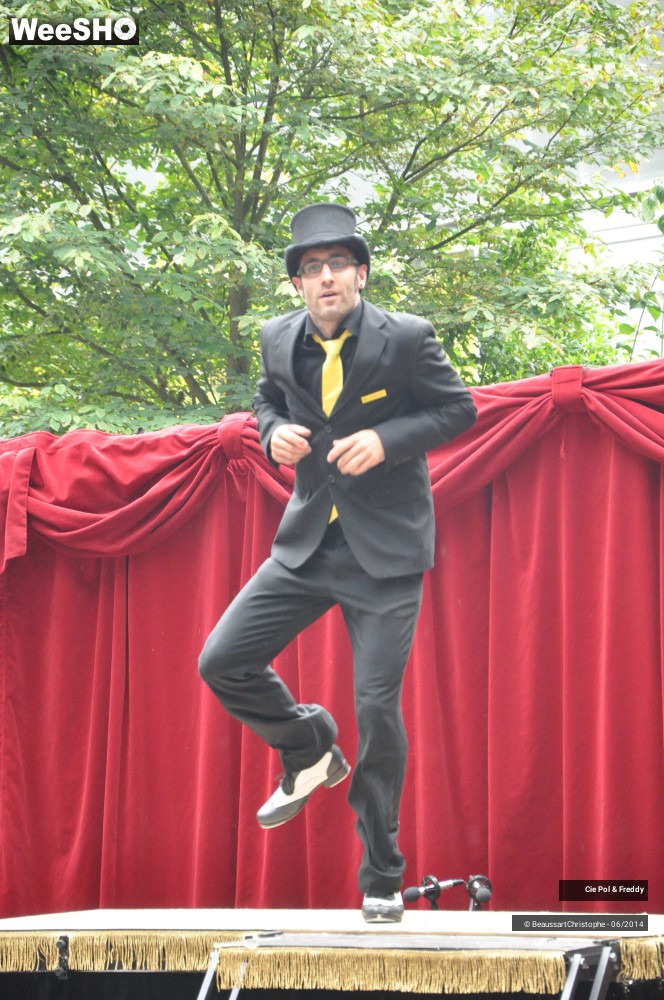 5/42 photos du spectacle Le Cirque démocratique de la Belgique