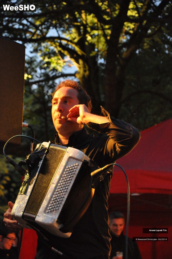 13/33 photos du spectacle Arsene Lupunk Trio