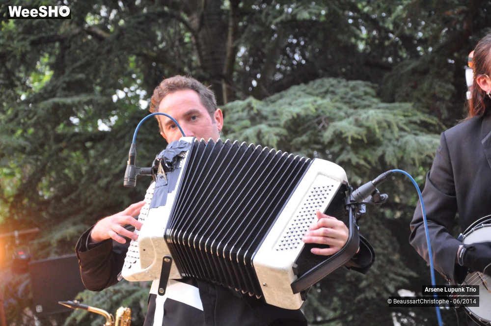 14/33 photos du spectacle Arsene Lupunk Trio