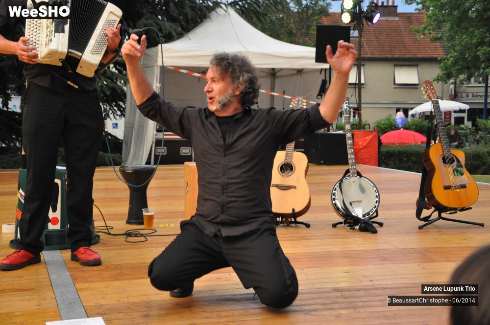 15/33 photos du spectacle Arsene Lupunk Trio