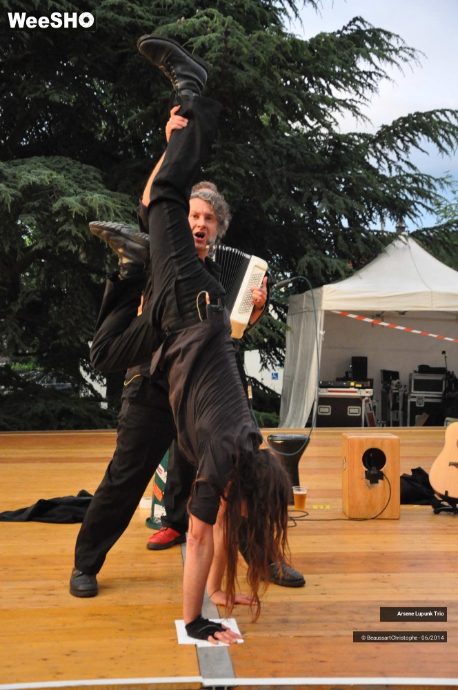 28/33 photos du spectacle Arsene Lupunk Trio