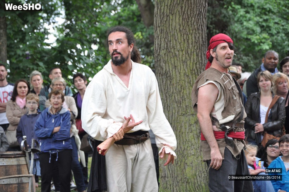 2/46 photos du spectacle La vraie vie des pirates