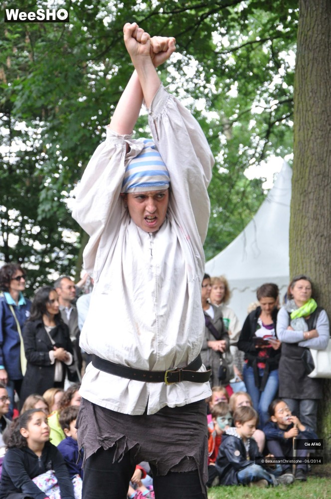 33/46 photos du spectacle La vraie vie des pirates