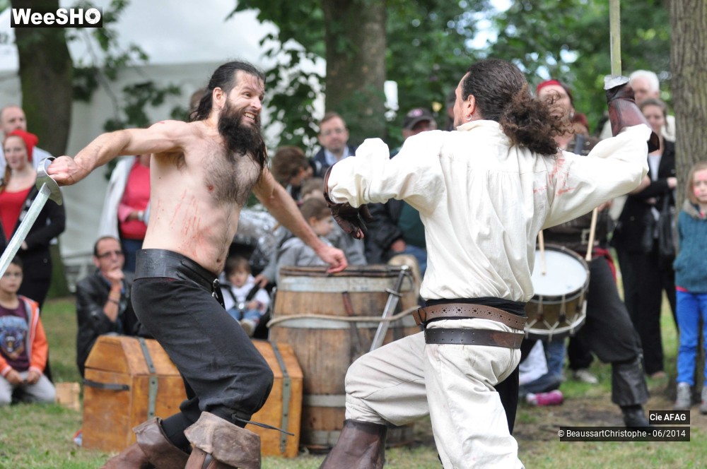 36/46 photos du spectacle La vraie vie des pirates