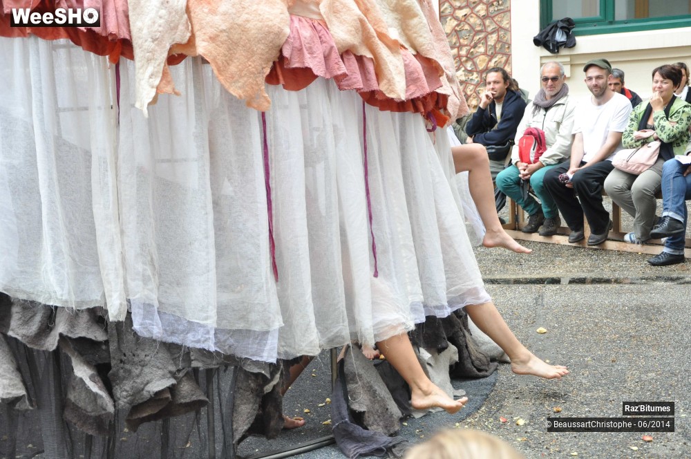 3/35 photos du spectacle Les dessous des princesses