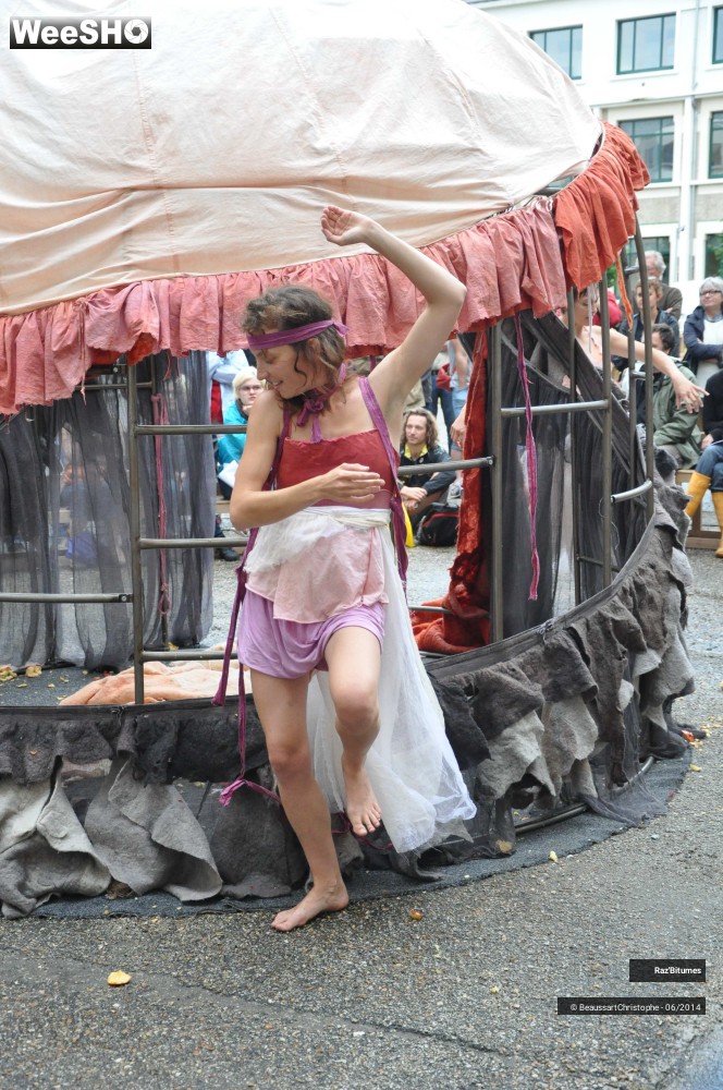 8/35 photos du spectacle Les dessous des princesses