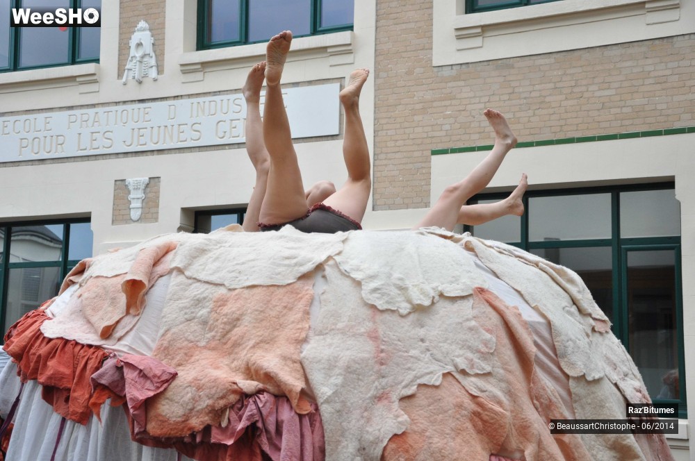 14/35 photos du spectacle Les dessous des princesses