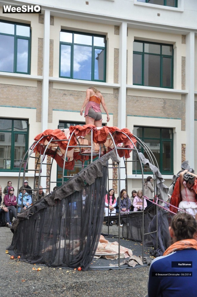 21/35 photos du spectacle Les dessous des princesses