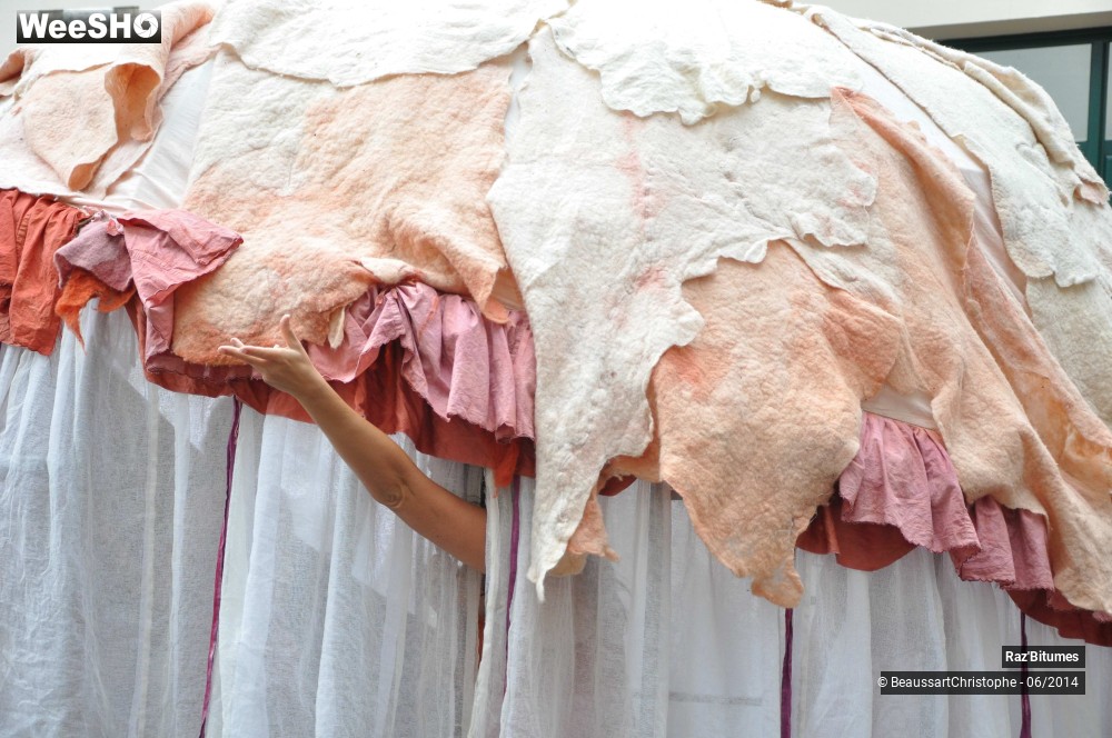 27/35 photos du spectacle Les dessous des princesses