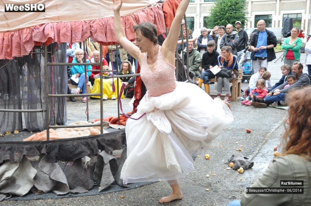 35/35 photos du spectacle Les dessous des princesses