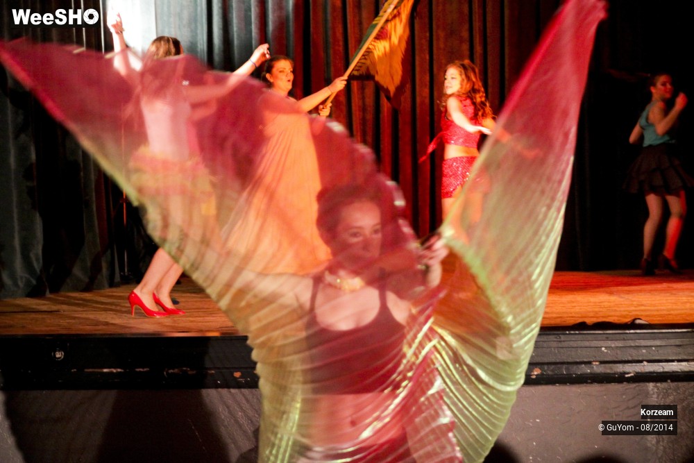 38/48 photos du spectacle Danse ton environnement