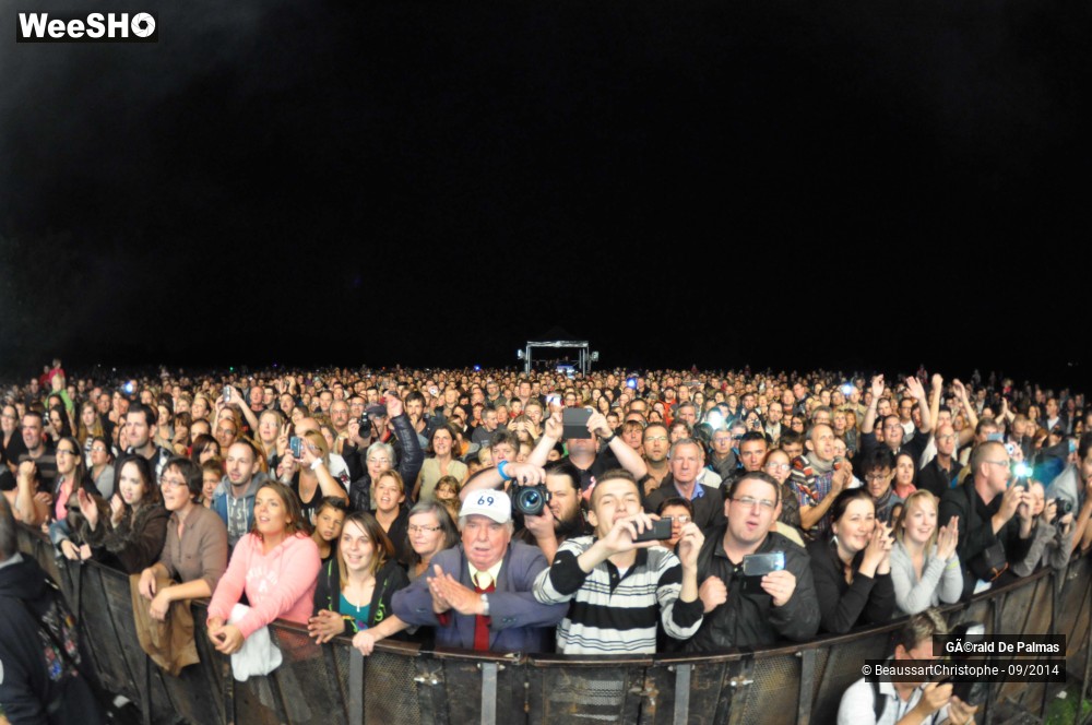 6/48 photos du spectacle Gérald de Palmas