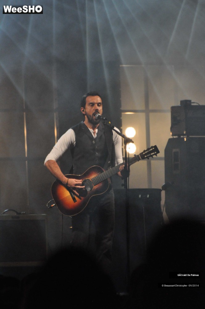 12/48 photos du spectacle Gérald de Palmas