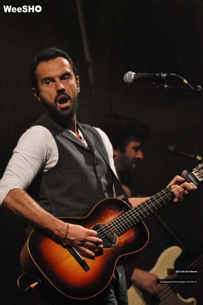 17/48 photos du spectacle Gérald de Palmas