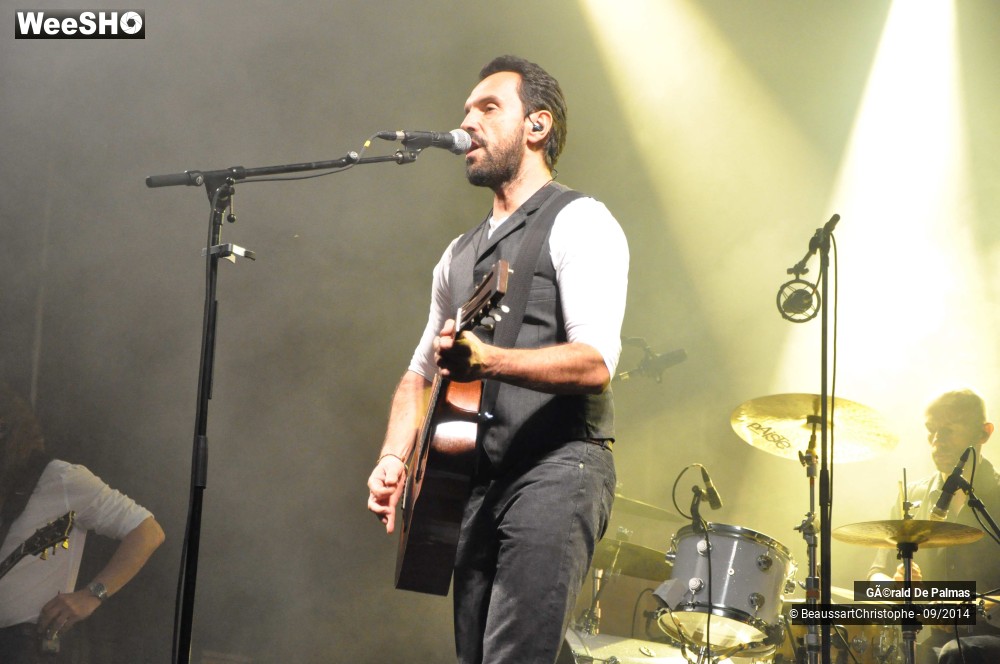 18/48 photos du spectacle Gérald de Palmas