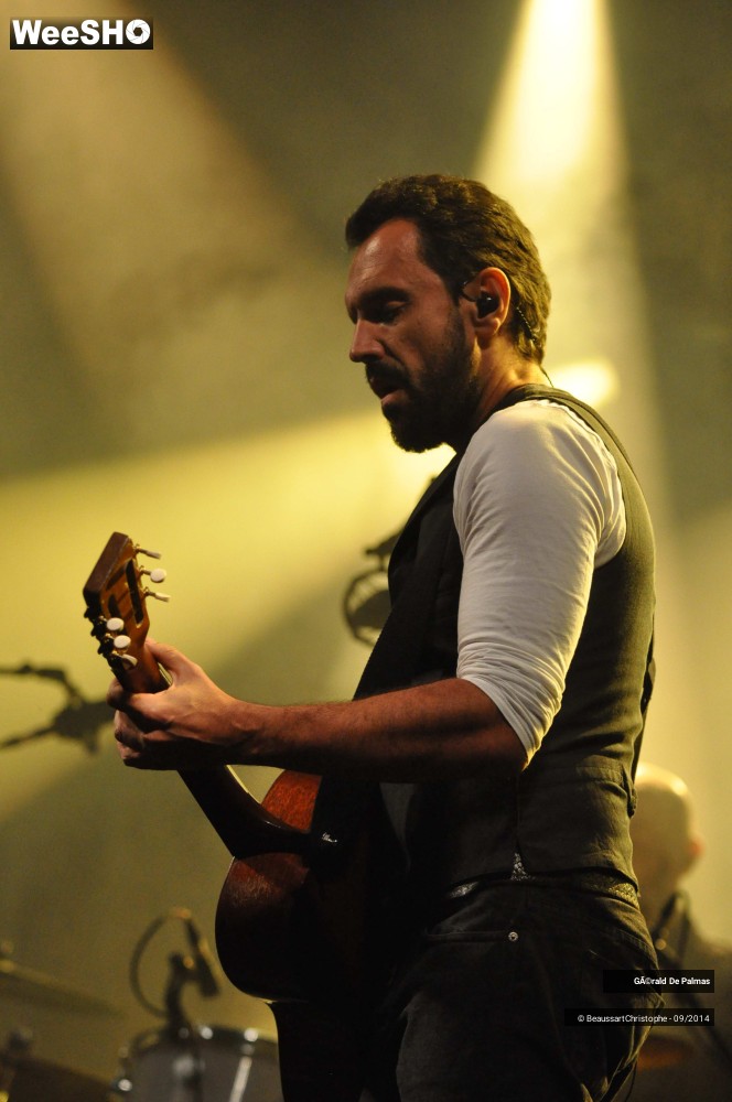 19/48 photos du spectacle Gérald de Palmas