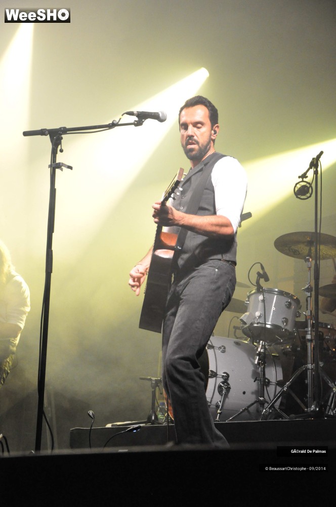 20/48 photos du spectacle Gérald de Palmas