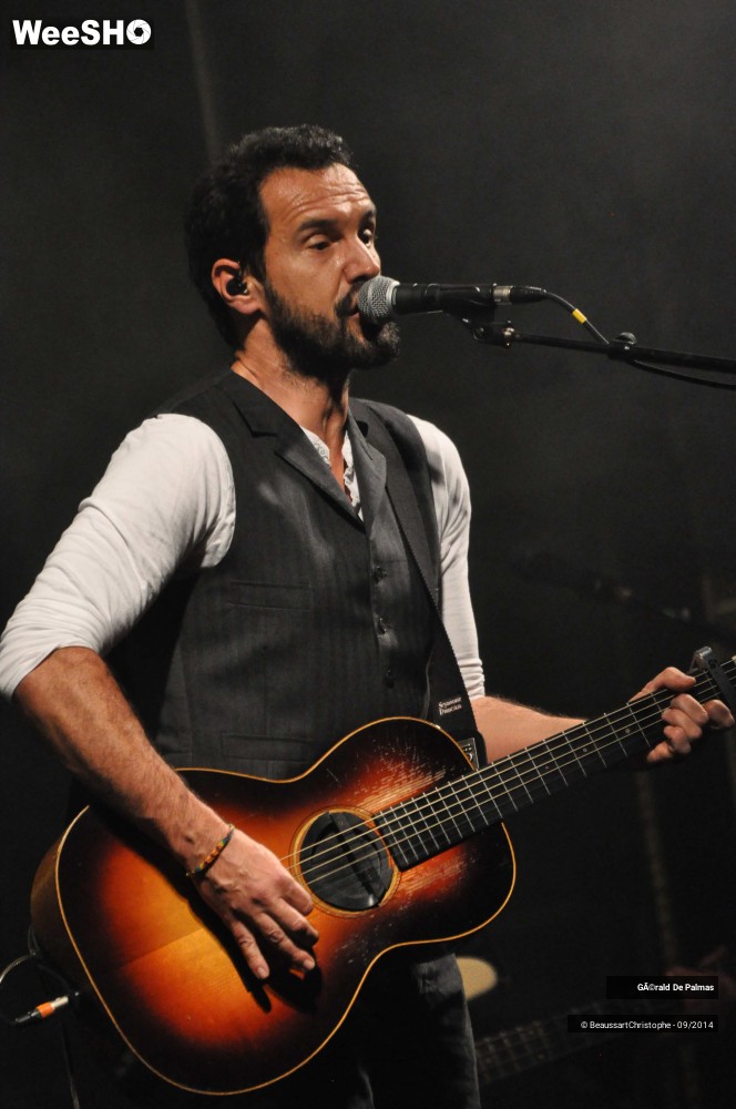 26/48 photos du spectacle Gérald de Palmas