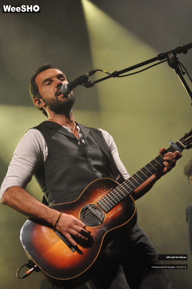 27/48 photos du spectacle Gérald de Palmas