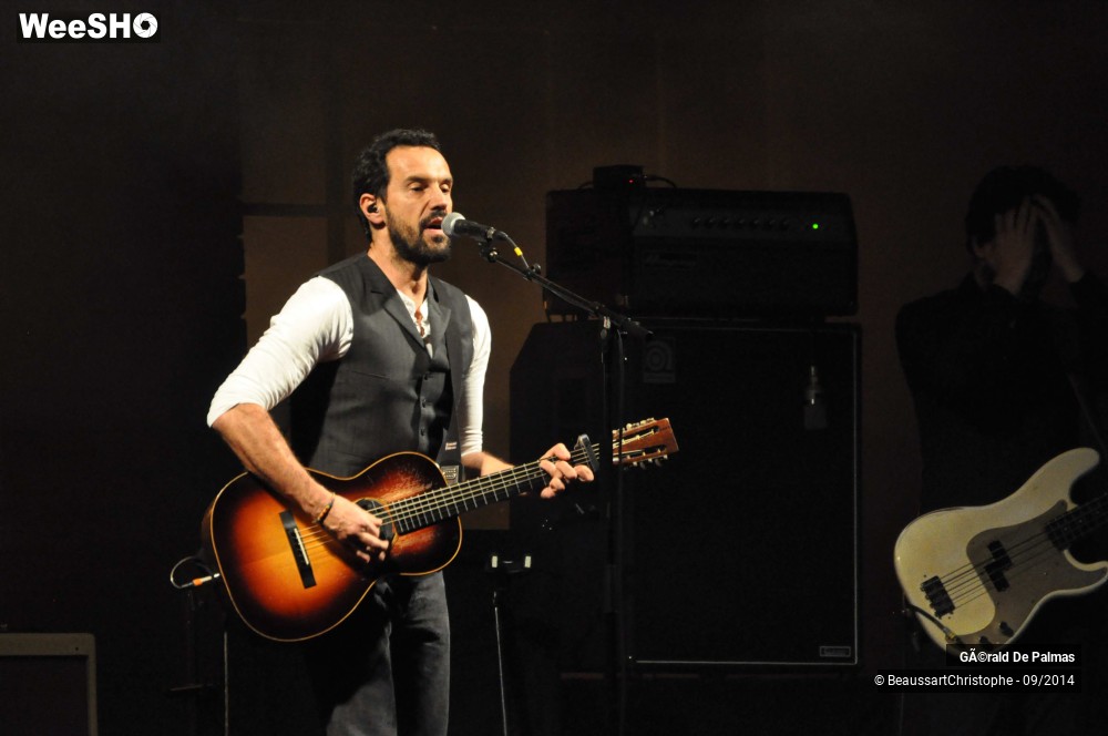 28/48 photos du spectacle Gérald de Palmas