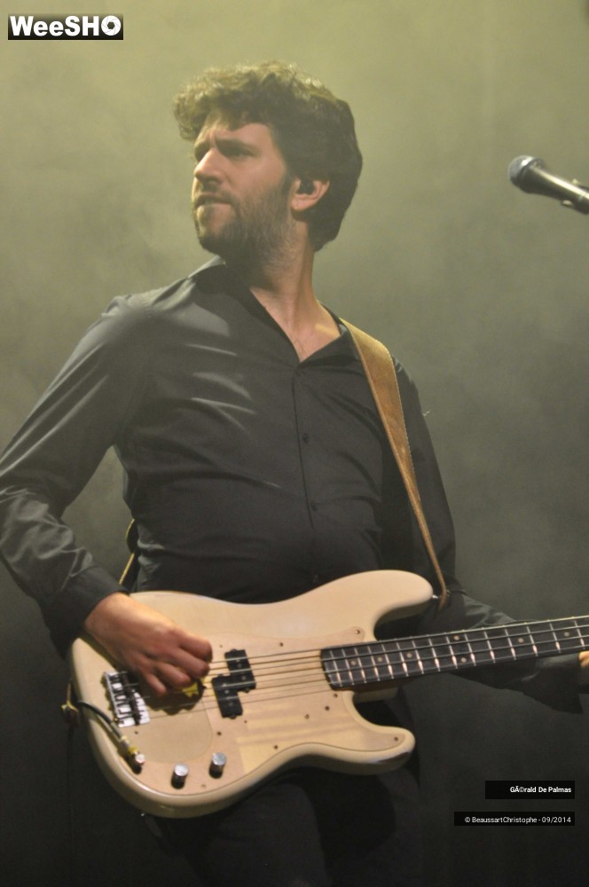 29/48 photos du spectacle Gérald de Palmas