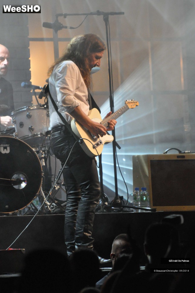 30/48 photos du spectacle Gérald de Palmas