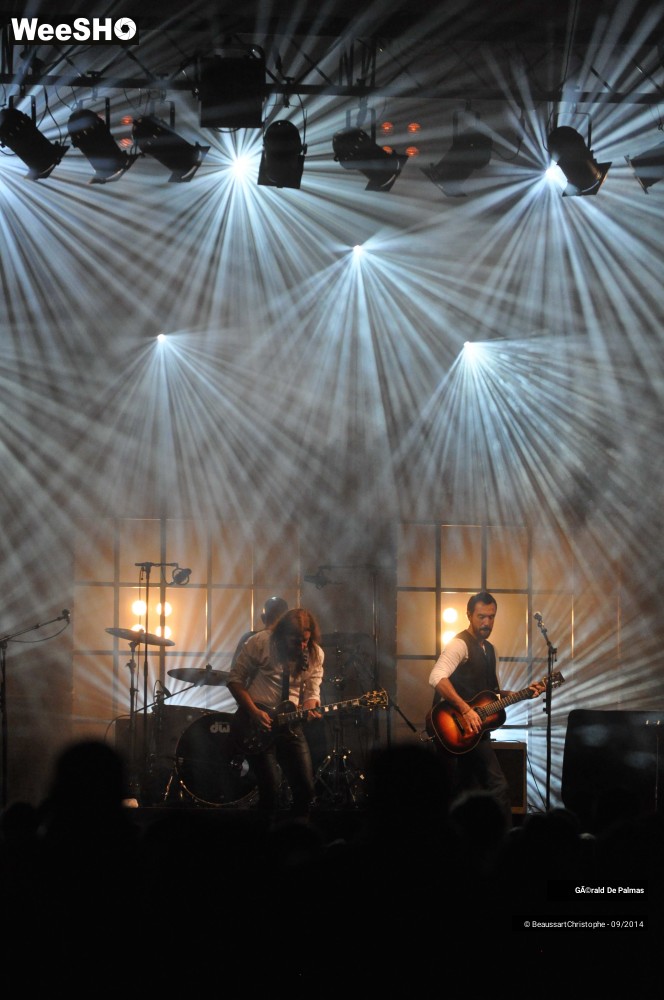 31/48 photos du spectacle Gérald de Palmas