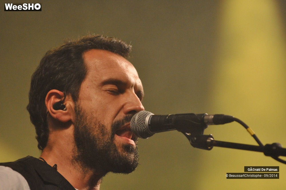 34/48 photos du spectacle Gérald de Palmas