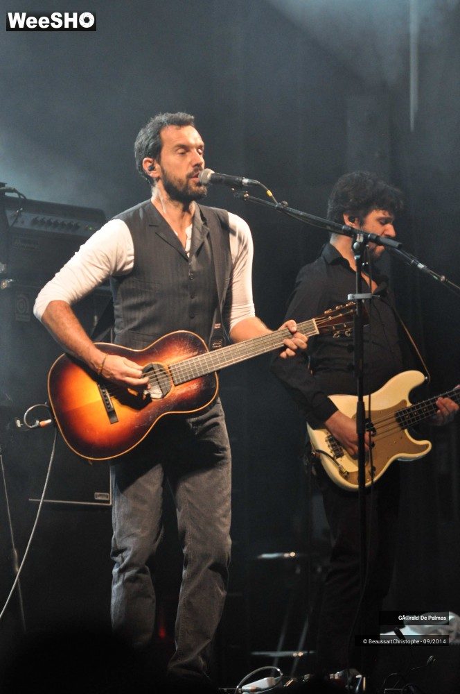 39/48 photos du spectacle Gérald de Palmas