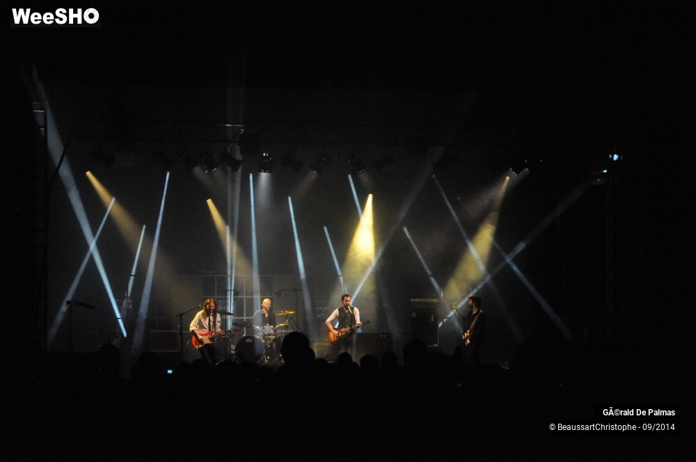 41/48 photos du spectacle Gérald de Palmas