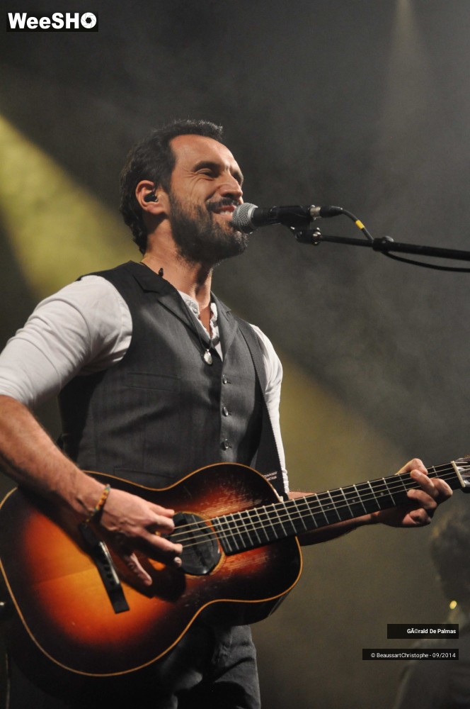 45/48 photos du spectacle Gérald de Palmas