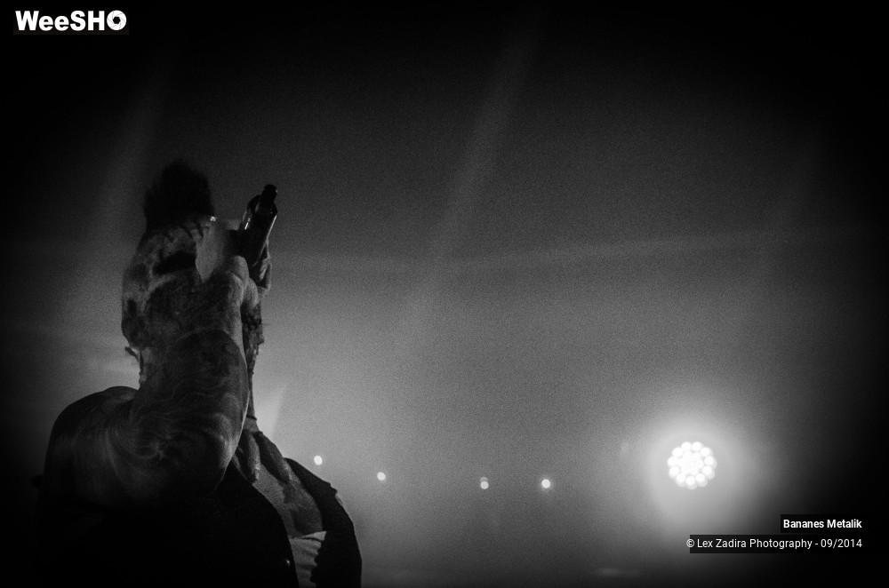 1/15 photos du spectacle Banane Metalik