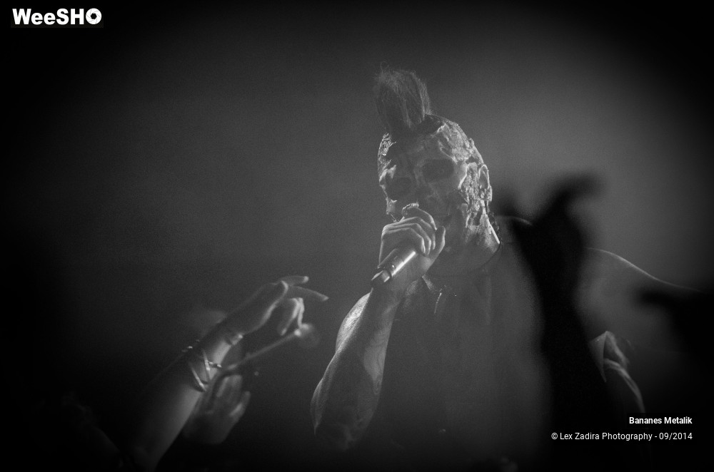 5/15 photos du spectacle Banane Metalik