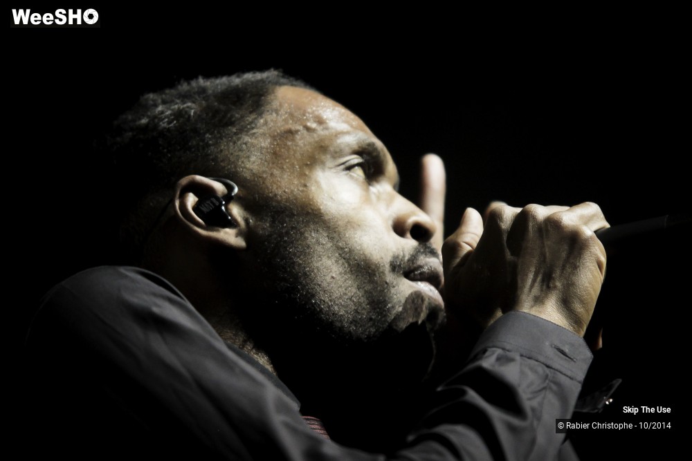 6/51 photos du spectacle Skip The Use