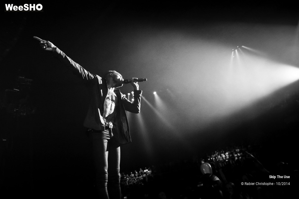 8/51 photos du spectacle Skip The Use