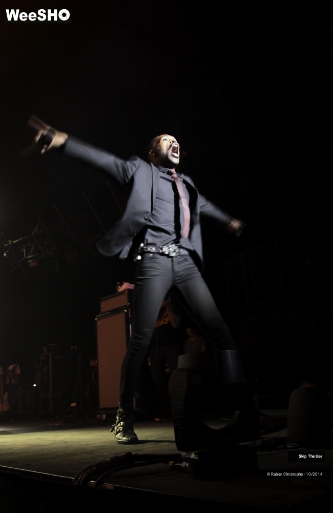 13/51 photos du spectacle Skip The Use