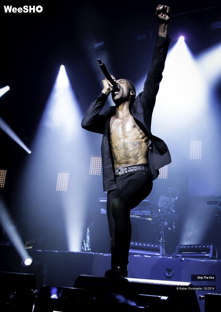 14/51 photos du spectacle Skip The Use