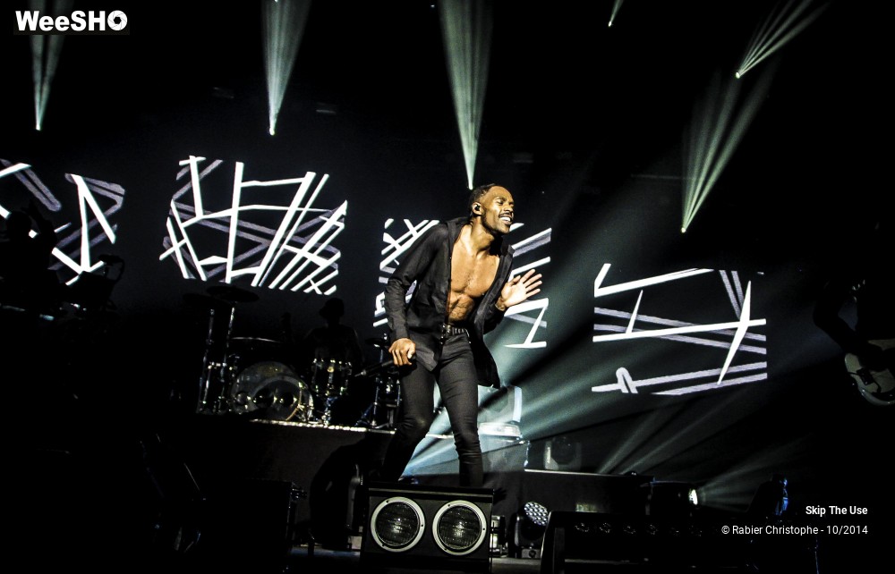 25/51 photos du spectacle Skip The Use