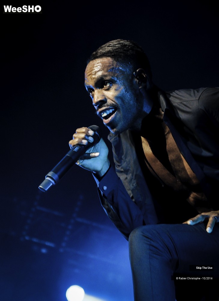 28/51 photos du spectacle Skip The Use