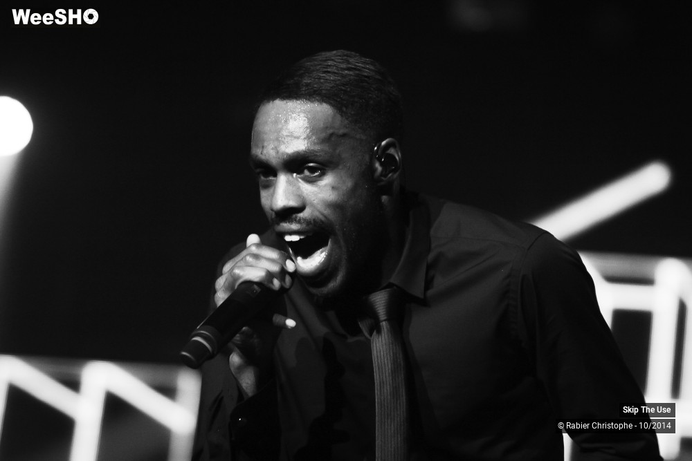 29/51 photos du spectacle Skip The Use