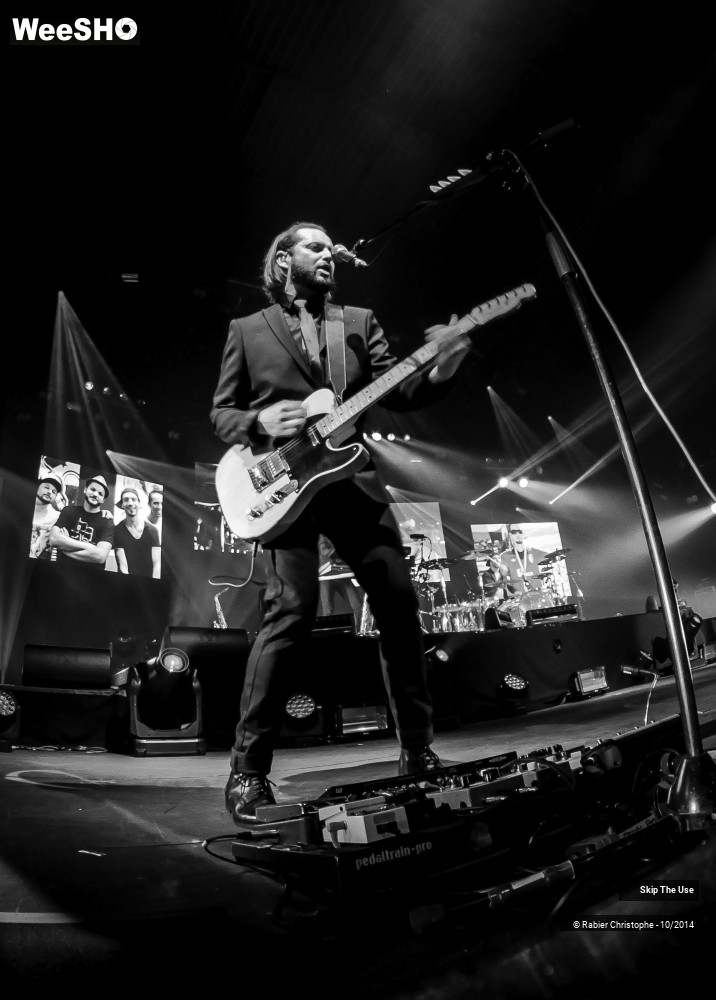 31/51 photos du spectacle Skip The Use