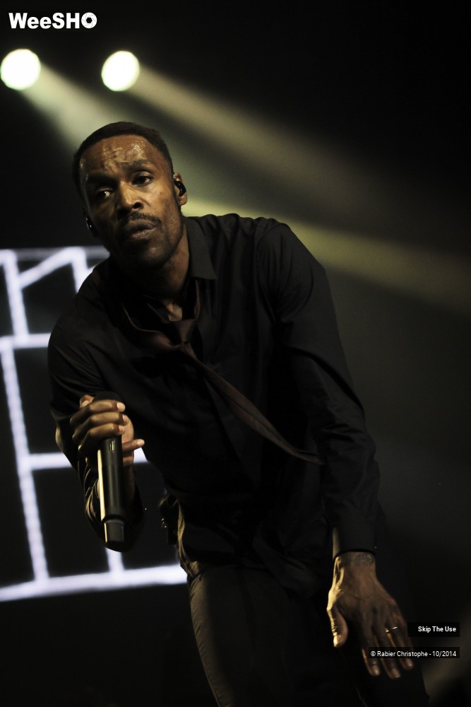 35/51 photos du spectacle Skip The Use