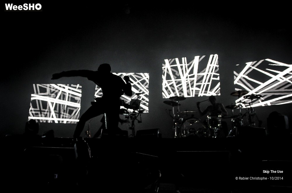 38/51 photos du spectacle Skip The Use