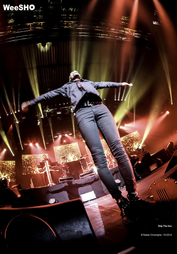 39/51 photos du spectacle Skip The Use