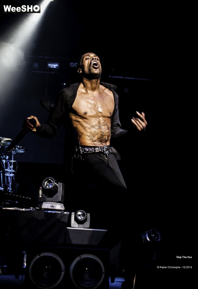 40/51 photos du spectacle Skip The Use