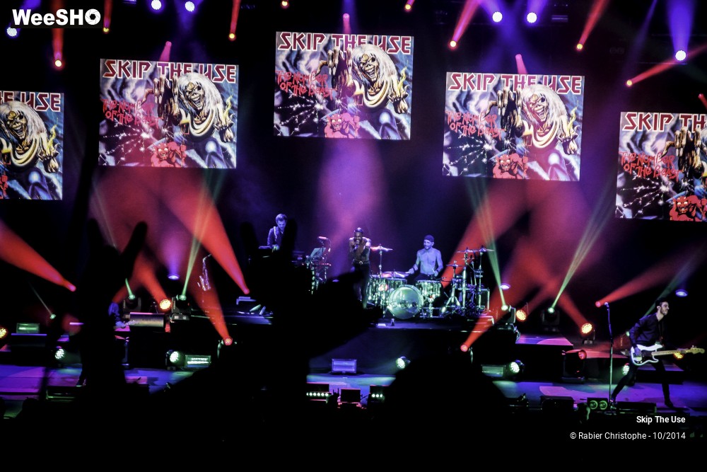 42/51 photos du spectacle Skip The Use