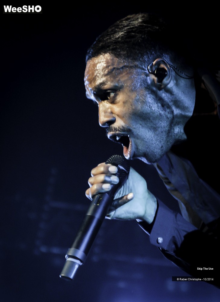 43/51 photos du spectacle Skip The Use