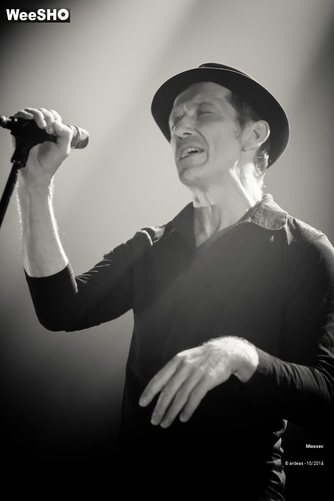 11/41 photos du spectacle Miossec