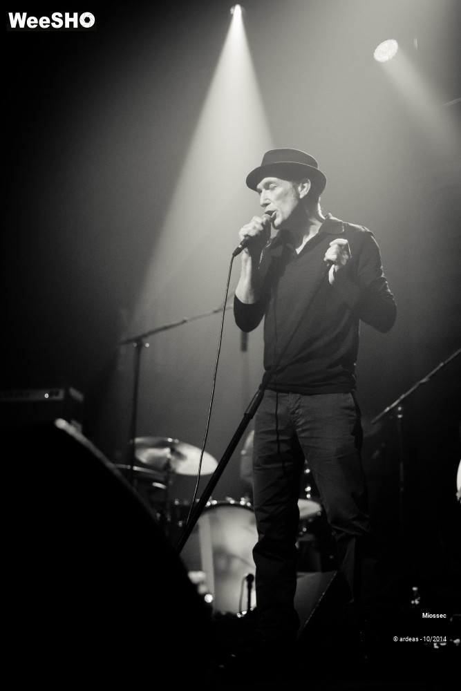 12/41 photos du spectacle Miossec